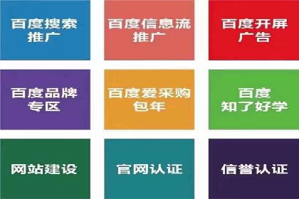 SEM服务公司助力企业国际化案例